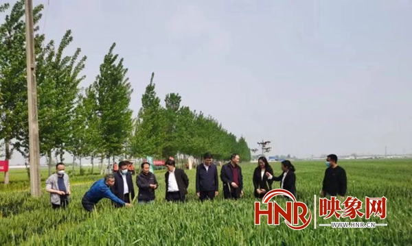农业生态园项目书_镇宁县立秋坡农业有限公司油茶种植项目,下载_现代农业项目