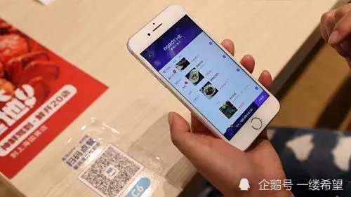 旷惠桃名医推荐家庭必备方剂从书：名医推荐家庭必备药膳_数字智能家庭_数字家庭