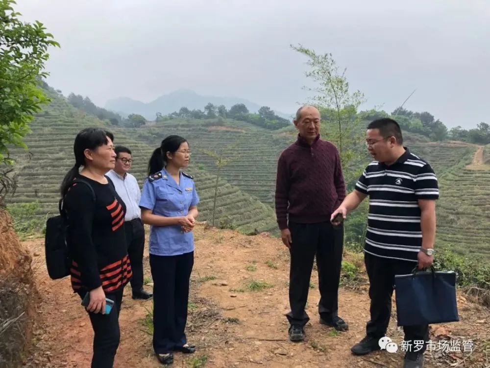 新罗区楼宇自控系统招聘_招商局公示_区人选招商公示副总聘任拟公示
