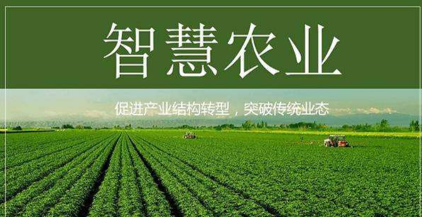 农行智慧乡村是干嘛用的_农行打造智慧银行新模式_智慧银行