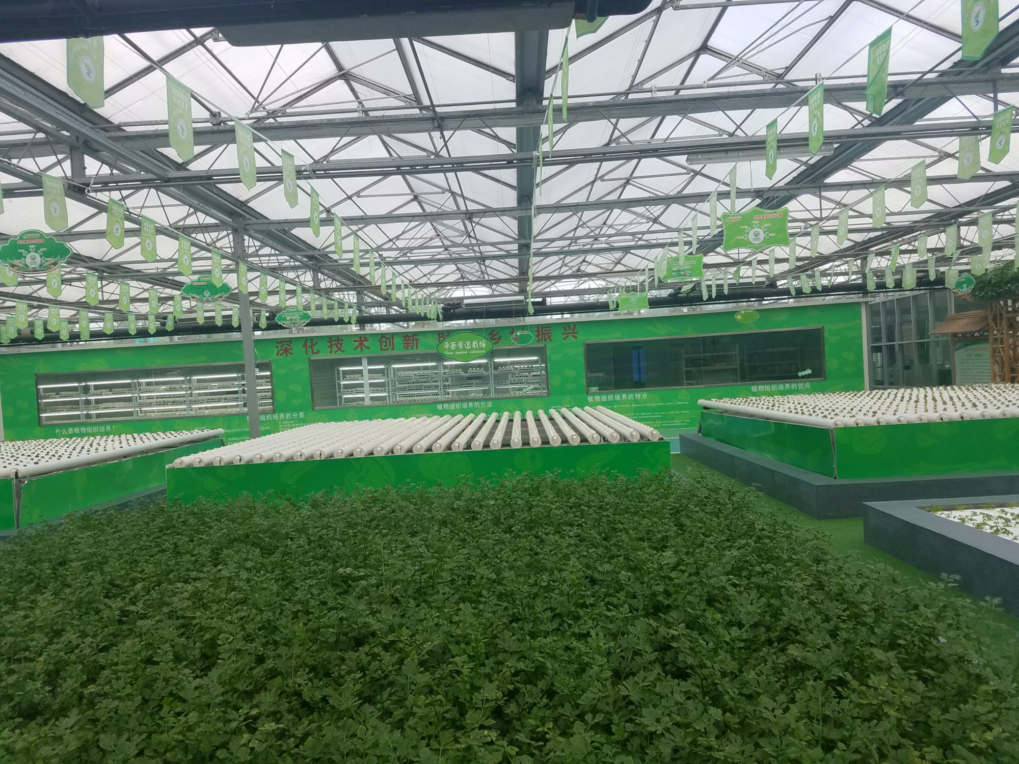 农业智能化设备_智能农业_农业智能装备工程就业前景