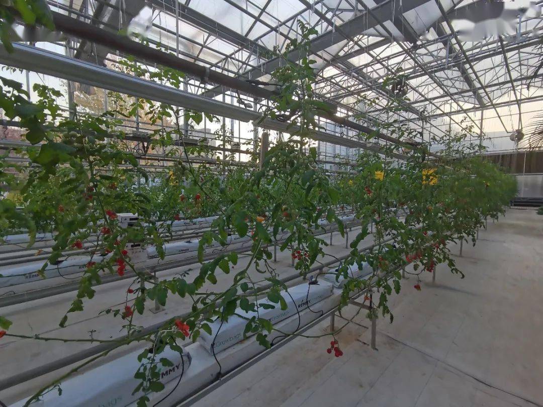 农业智能装备工程专业_智能农业_农业智能装备工程就业前景